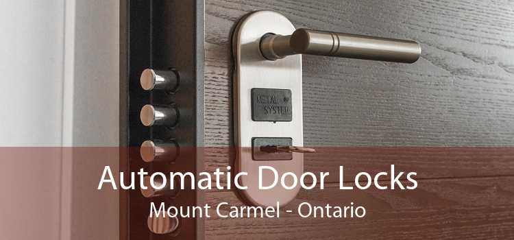 Automatic Door Locks Mount Carmel - Ontario