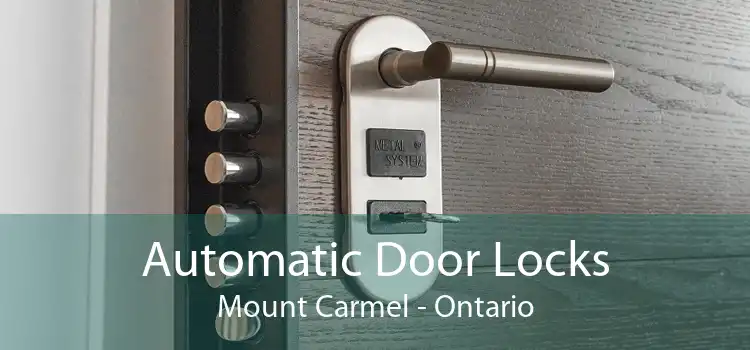 Automatic Door Locks Mount Carmel - Ontario