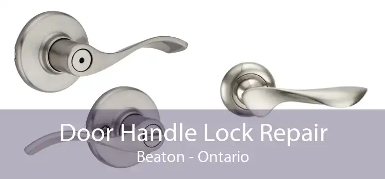 Door Handle Lock Repair Beaton - Ontario