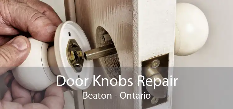 Door Knobs Repair Beaton - Ontario