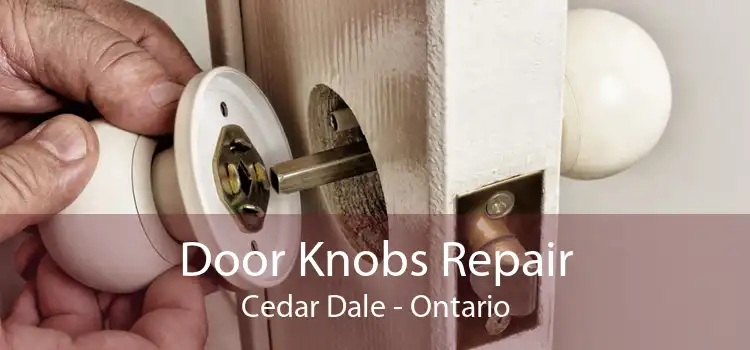 Door Knobs Repair Cedar Dale - Ontario