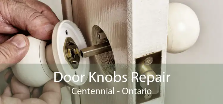 Door Knobs Repair Centennial - Ontario