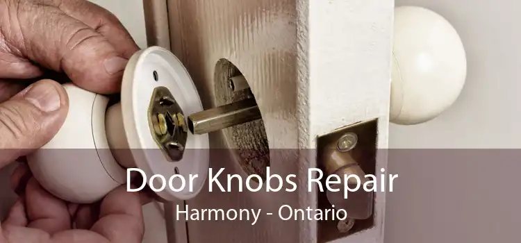 Door Knobs Repair Harmony - Ontario