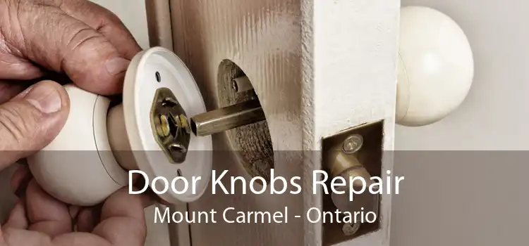 Door Knobs Repair Mount Carmel - Ontario