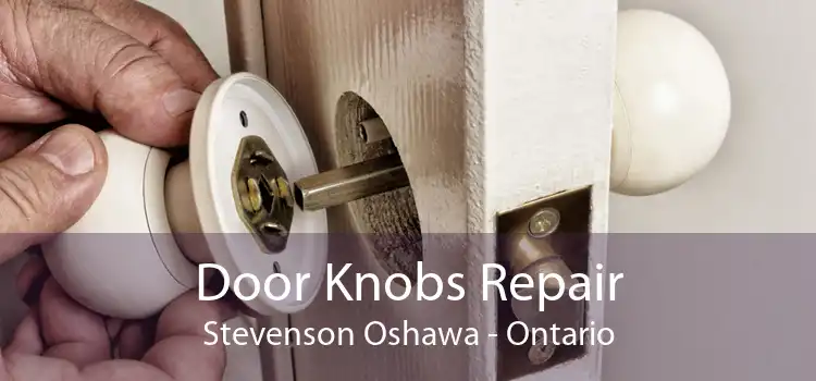 Door Knobs Repair Stevenson Oshawa - Ontario