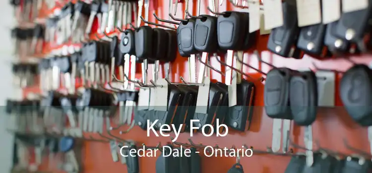 Key Fob Cedar Dale - Ontario