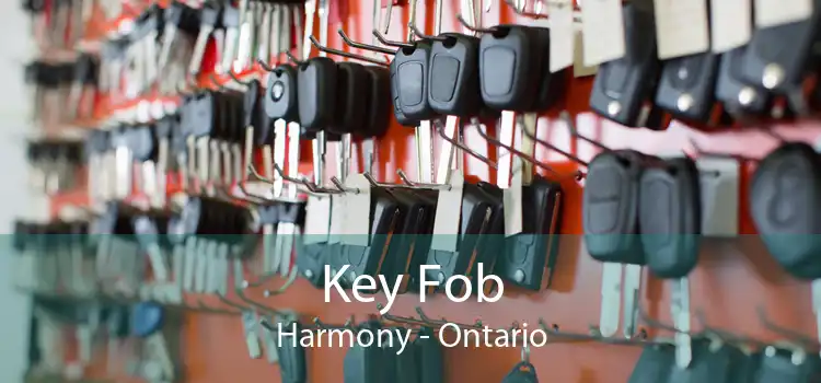 Key Fob Harmony - Ontario