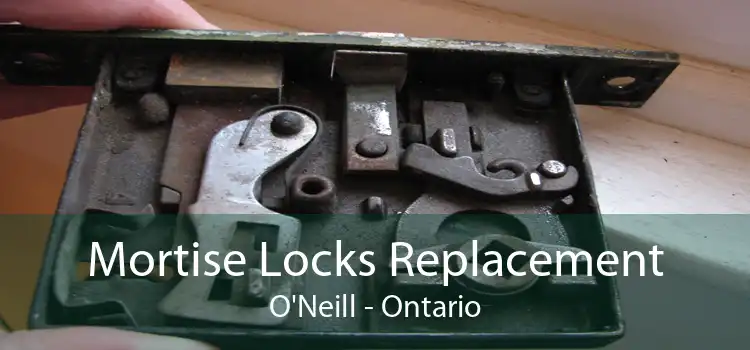Mortise Locks Replacement O'Neill - Ontario