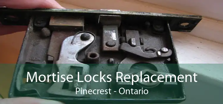 Mortise Locks Replacement Pinecrest - Ontario