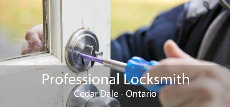 Professional Locksmith Cedar Dale - Ontario