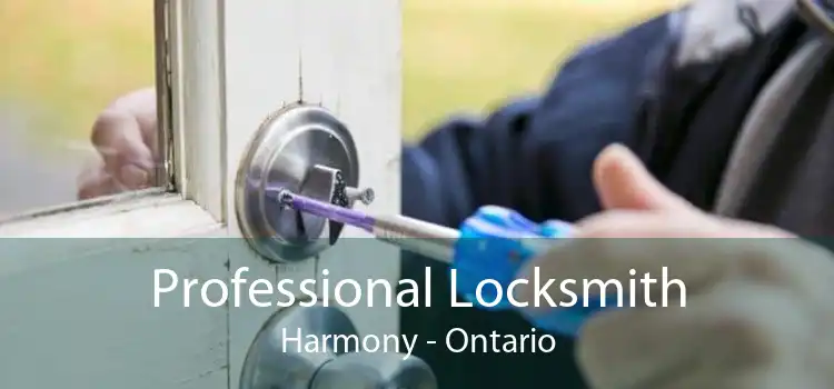 Professional Locksmith Harmony - Ontario