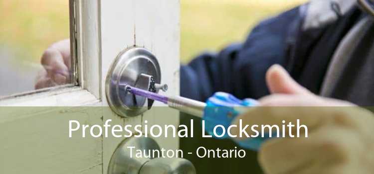 Professional Locksmith Taunton - Ontario
