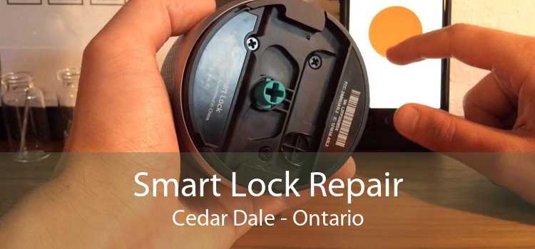 Smart Lock Repair Cedar Dale - Ontario