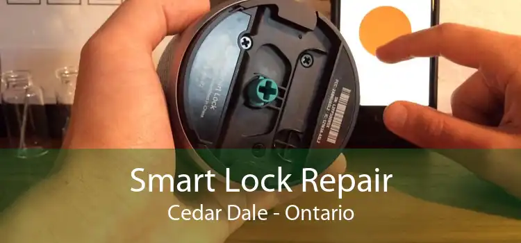 Smart Lock Repair Cedar Dale - Ontario