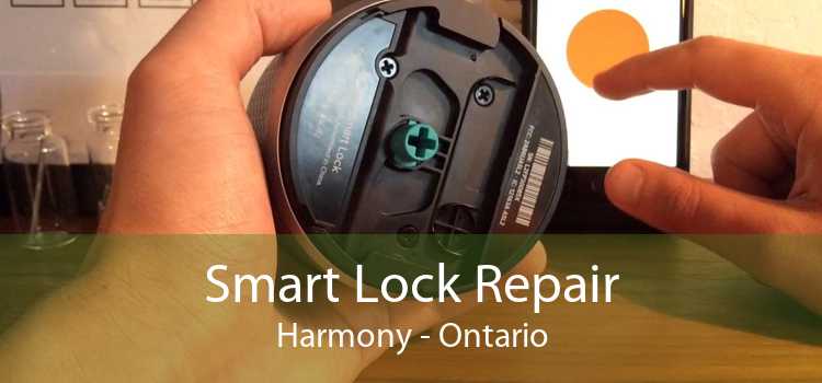 Smart Lock Repair Harmony - Ontario