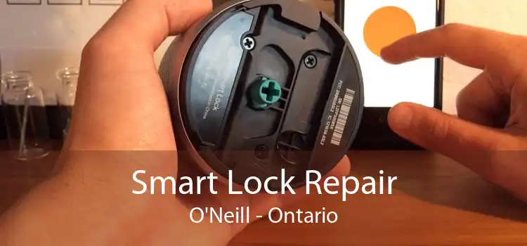 Smart Lock Repair O'Neill - Ontario